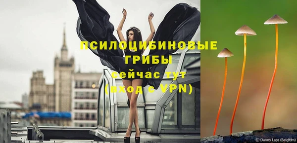 соль курить ск Нея