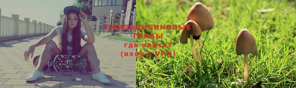 крисы Кондопога